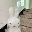무드등..사고 싶었던 나 ... 이미지