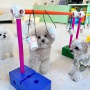 멍플레이 이미지