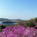 곤드레밥집 | [바른곤드레밥집 여월점] 부천 원미산 진달래동산 근처 주차 가능한 맛집 내돈내산 후기