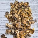 공일공부동산공인중개사사무소 이미지