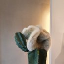 모먼트아이안경원 이미지