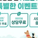 동물병원 움 이미지