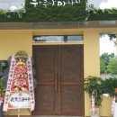 하쿠나마타타 이미지