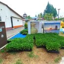 선화농약사 이미지