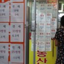 주공공인중개사무소 이미지