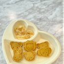 식물원 강아지 이미지