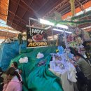 알파카정비 | 14》 아레키파ㅣ산카밀로 시장, 성 카탈리나 수녀원, 문도 알파카,야나후아라 전망대,Tio Dario, jayari