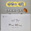 베베삼촌 | 신생아 선물 추천 🎁 밤부베베 부드러운 말랑이 반팔 바디수트 말띠에디션 후기