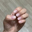 쉬즈네일블라썸 네이버블로그