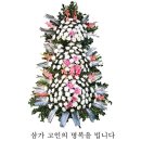 양 정 이미지