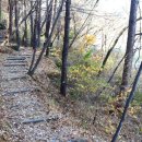 호성계곡 이미지