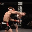 챔피온체육관    (태권도) 이미지