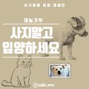 사직농장 | [재능기부] 온천동 동물병원 부산 농장 떠돌이 유기견 암컷 중성화 수술 후원 [동래 사직동물의료센터]