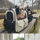 펫 & 쇼핑 이미지