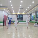 팀태권도장 이미지