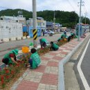 나진(화양면) 이미지