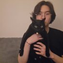 정웅 | 우는 이유야 뻔했고 이십대는 원래 시시한 일로 슬프니까