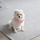 다몽헤어 이미지