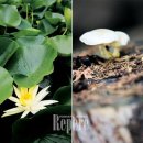 창만사거리 이미지