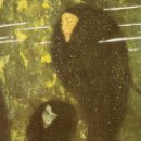 은빛물고기 이미지