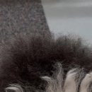 Grooming574 이미지