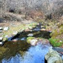 계곡이 아름다운 집 이미지