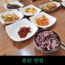 향원백반 이미지