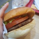 뉴월드레포츠 | [제주도 여행] 1일차 / 김만복김밥, 제주레포츠랜드, 닭머르해안길, 오늘도회는뜬다