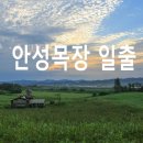 연일목장 이미지