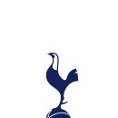 🖥Tottenham Hotspur 단관 달글 2 🖥 이미지