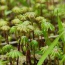 통영바다펜션 이미지