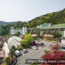 오색그린야드호텔서울시니어스타워