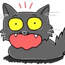 현대동물약품 이미지