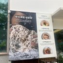 상무바지락칼국수 이미지