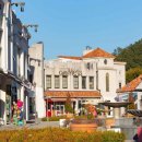 시원한 초록 터널 따라 드라이브… 담양 밥상까지 완벽하다 이미지