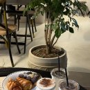 카페.시오 | <광주> 봉선동 신상 카페 시오시오 베이커리 후기 - 소금빵 맛집 시오크림라떼 추천