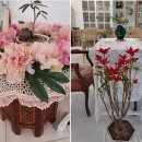 쁘띠보네르 이미지