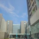 바다나라장풍코다리찜 | 내돈내산 롯데리조트속초 스위트 콘도 더블룸 바다전망 후기 / 속초롯데리조트 인피니티풀 / 속초롯데...