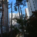 일광한신더휴센트럴포레2단지 이미지