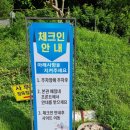 강원도 홍천 캠핑장 추천 비발디캠핑파크 미루나무점 미니카라반 루나2 1박후기