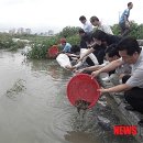 하천(갑천5-1) 이미지