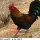 엘림농장 이미지