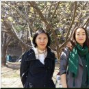 산장마트