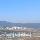 단비입찰