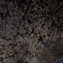 연미옥