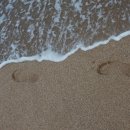 2016, 부산인상 이미지