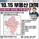 백문초등학교 | [불장]10.15.부동산정책 이후 / 구리시 LG원앙아파트 임장 후기