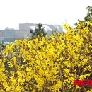 (주)포스코광양제철소 이미지
