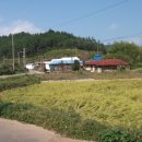 남해-172 이미지