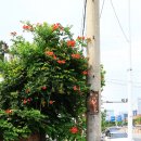 동원동입구 이미지